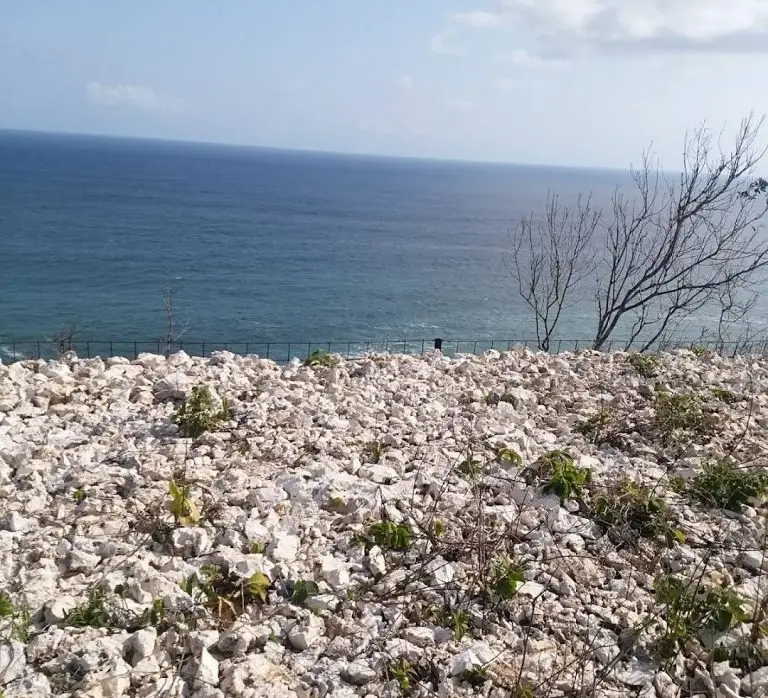 wisata pantai kobra gunungkidul