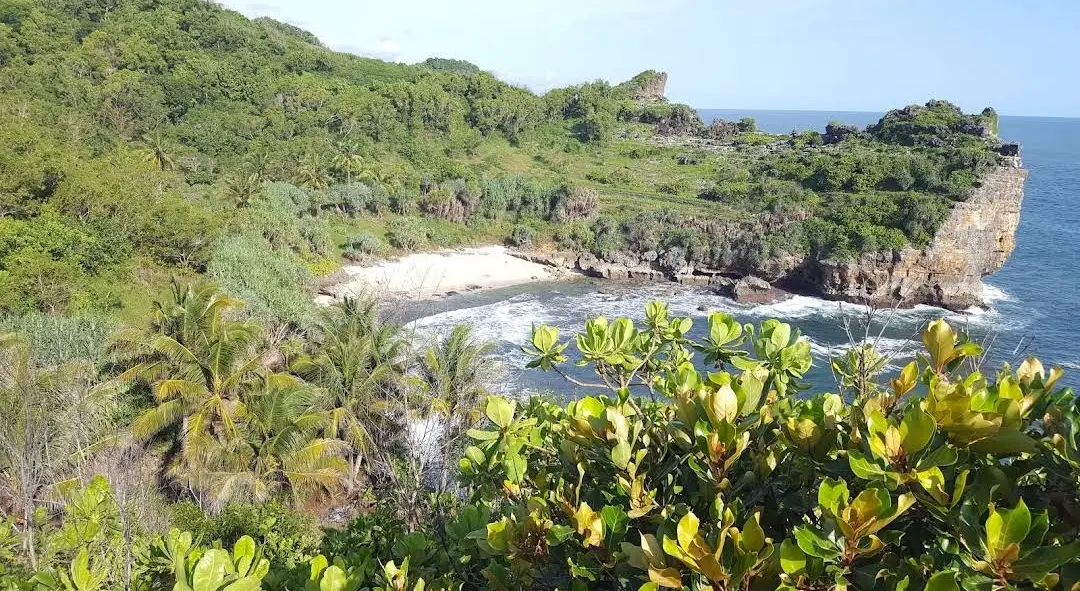 wisata pantai baronan gunungkidul