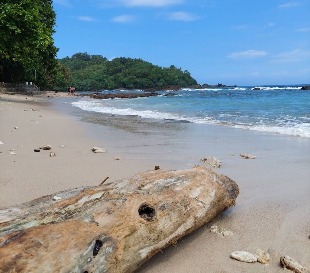 wisata pantai wediombo gunungkidul