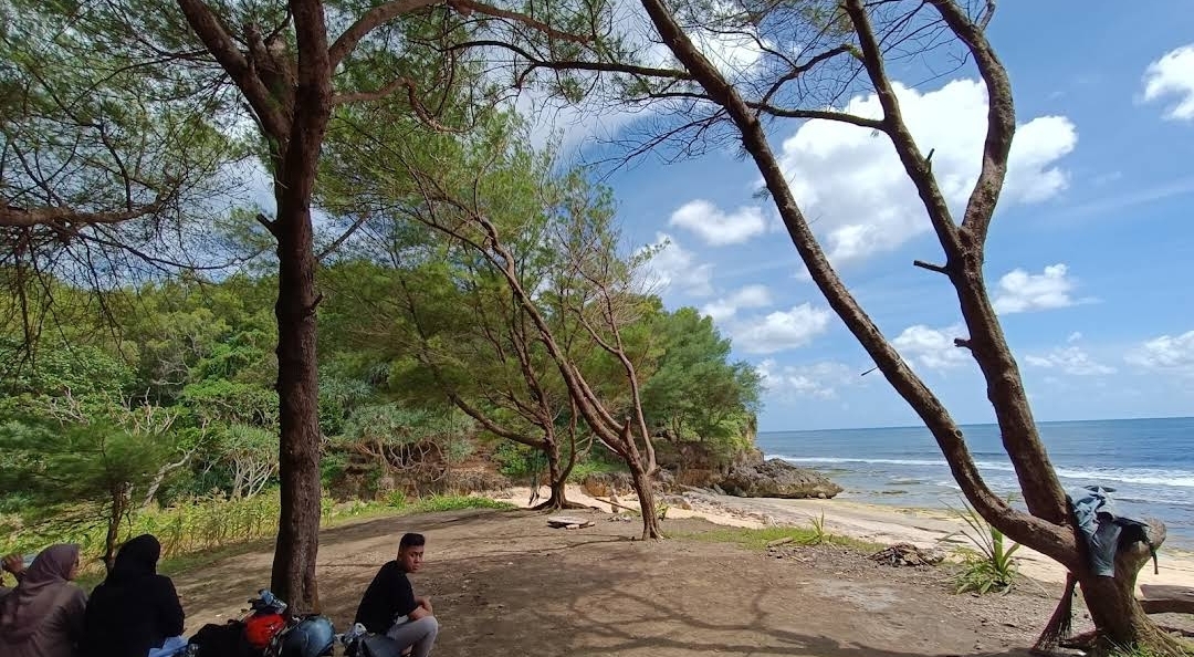 wisata pantai porok gunungkidul