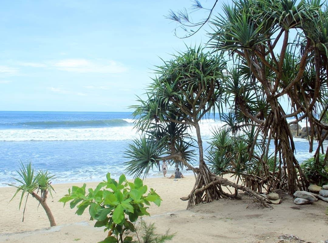 wisata pantai watu kodok gunungkidul