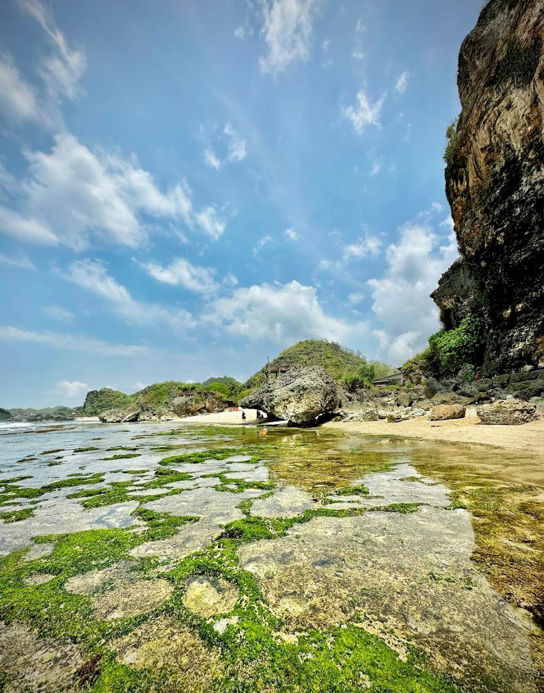 wisata pantai ngrumput gunungkidul