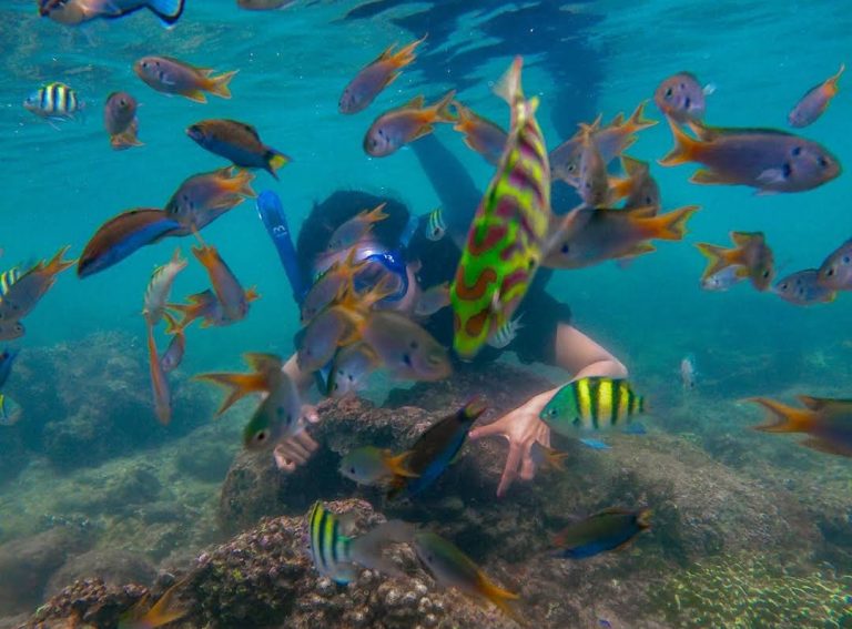 wisata pantai sadranan gunungkidul