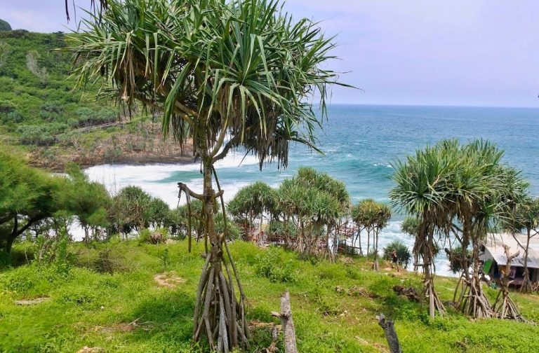 wisata pantai pasiran gunungkidul