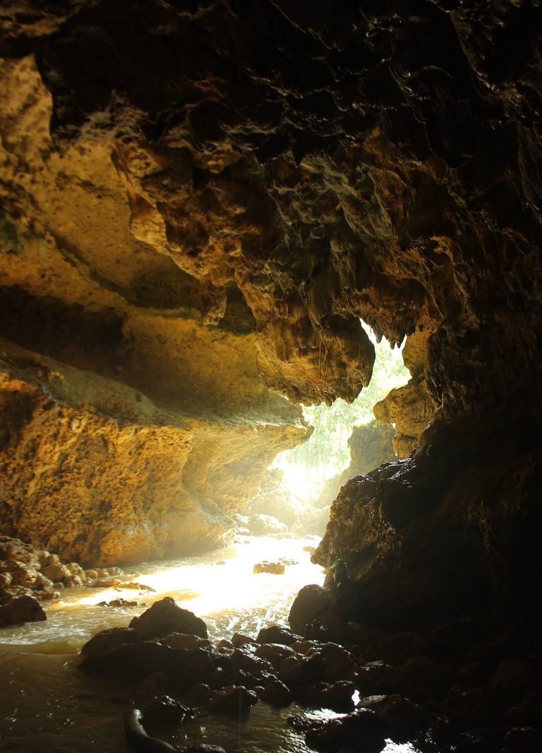 wisata goa plalar gunungkidul